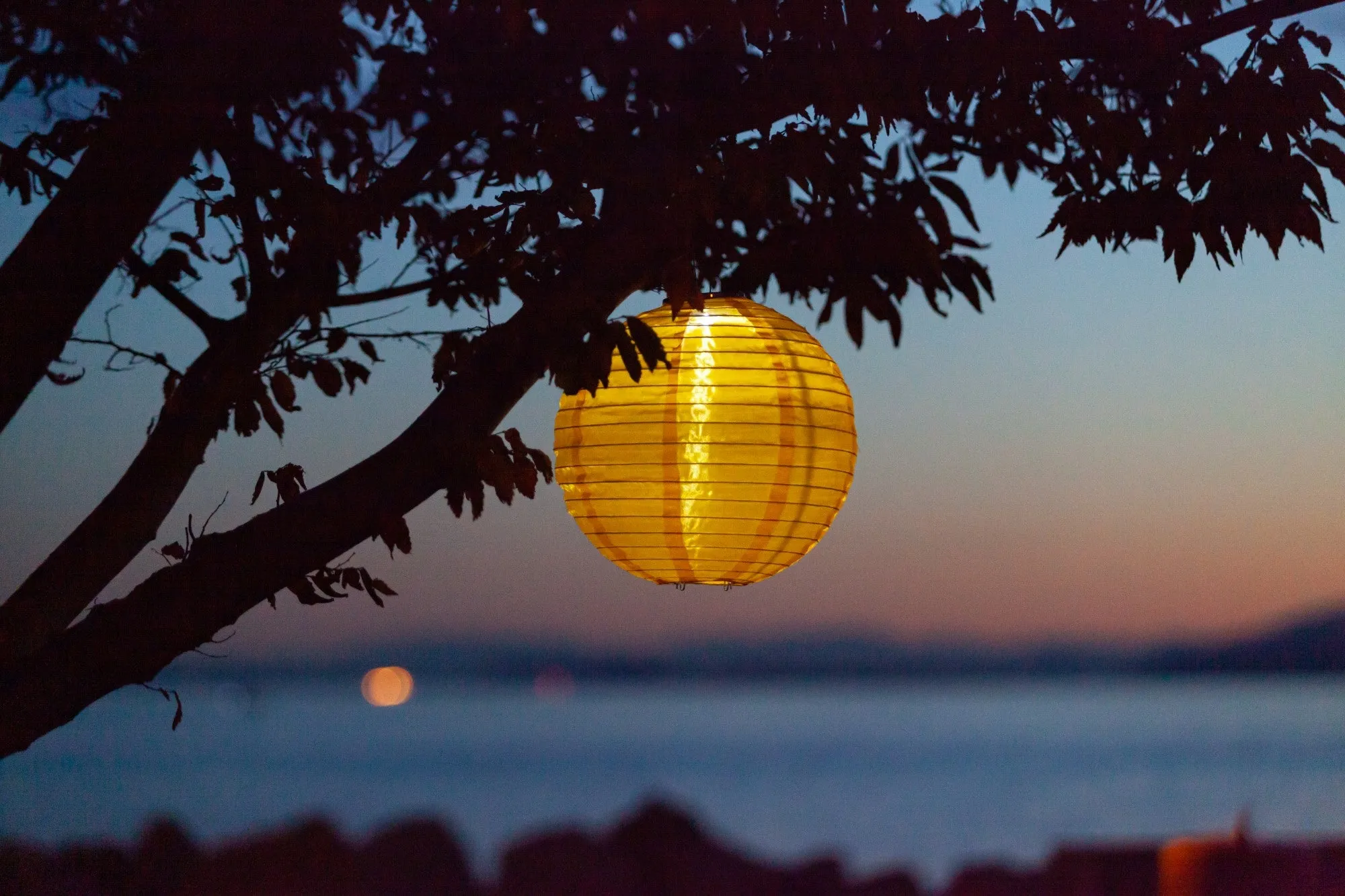 Soji Festival 12" Round Solar Lantern